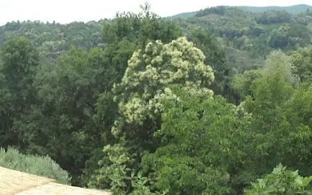 Ferienhaus La Casa Sull'arcobaleno 1
