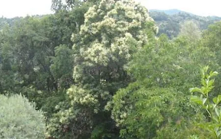 La Casa Sull'arcobaleno 1 Ferienhaus *