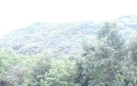 Casa de Férias La Casa Sull'arcobaleno 1 *