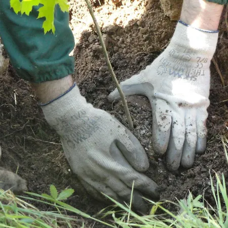 La Casa Sull'arcobaleno 1 Manta
