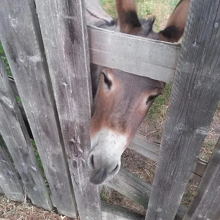 Hébergement de vacances La Casa Sull'arcobaleno 1 Manta