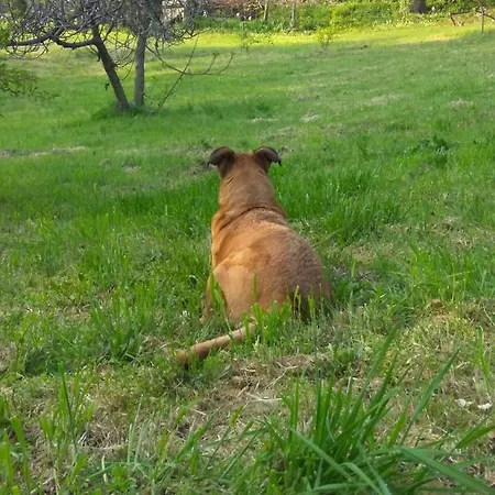 La Casa Sull'arcobaleno 1 Casa de Férias