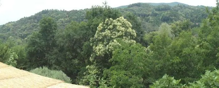 Holiday home La Casa Sull'arcobaleno