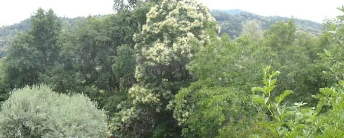 La Casa Sull'arcobaleno Ferienhaus *