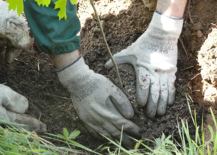 La Casa Sull'arcobaleno Manta