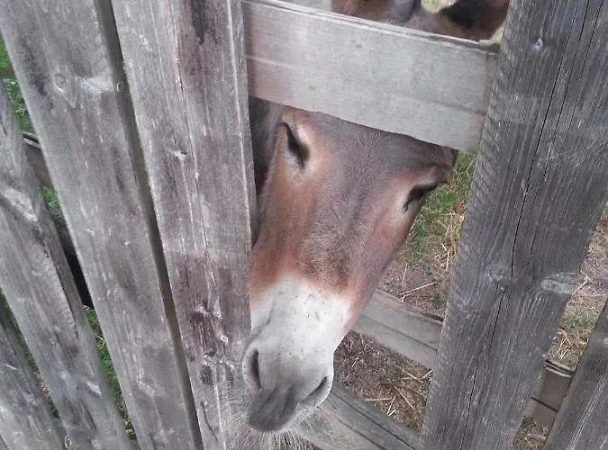Ferienhaus La Casa Sull'arcobaleno Manta